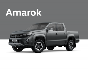 Amarok-Portada Sección